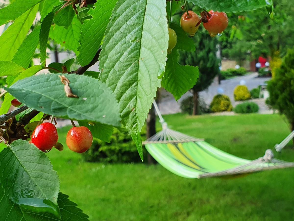 Villa Zenko Lviv Dış mekan fotoğraf