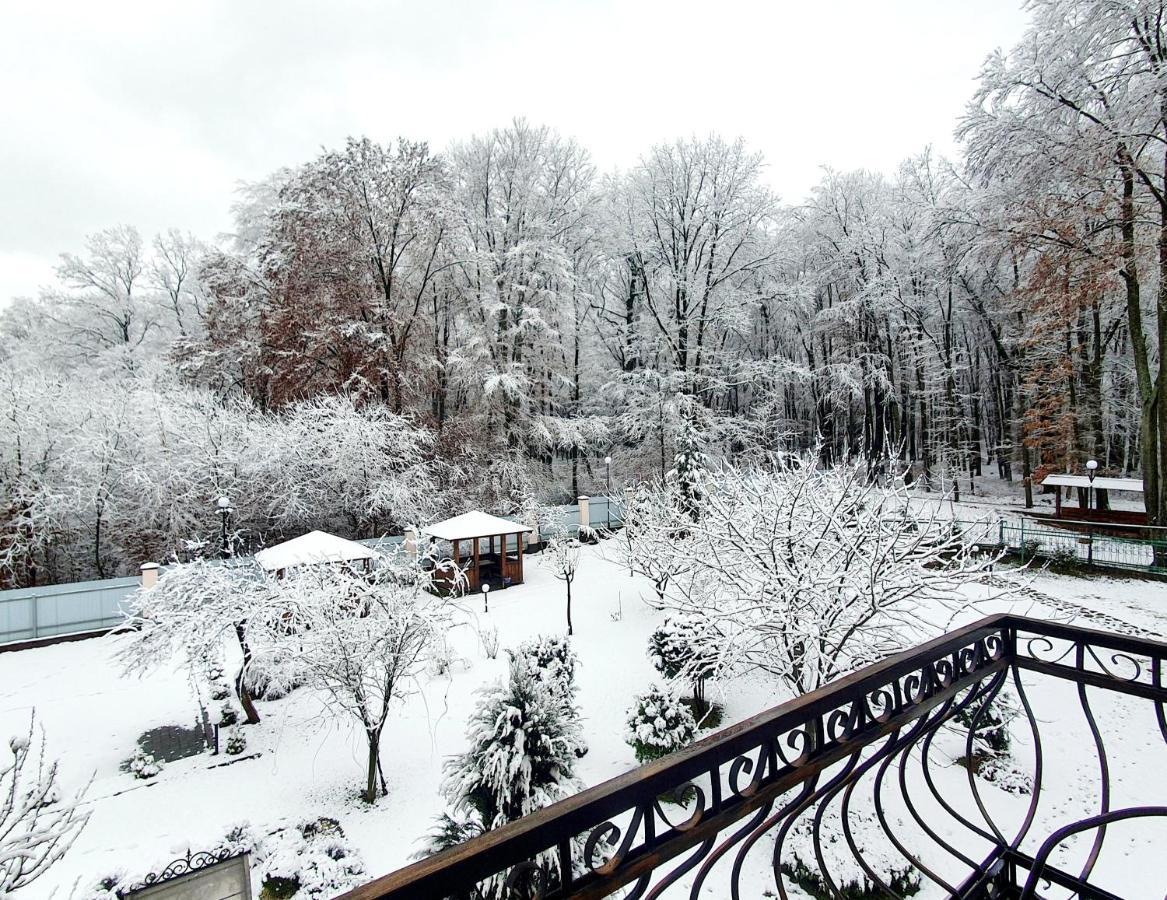 Villa Zenko Briukhovychi Dış mekan fotoğraf
