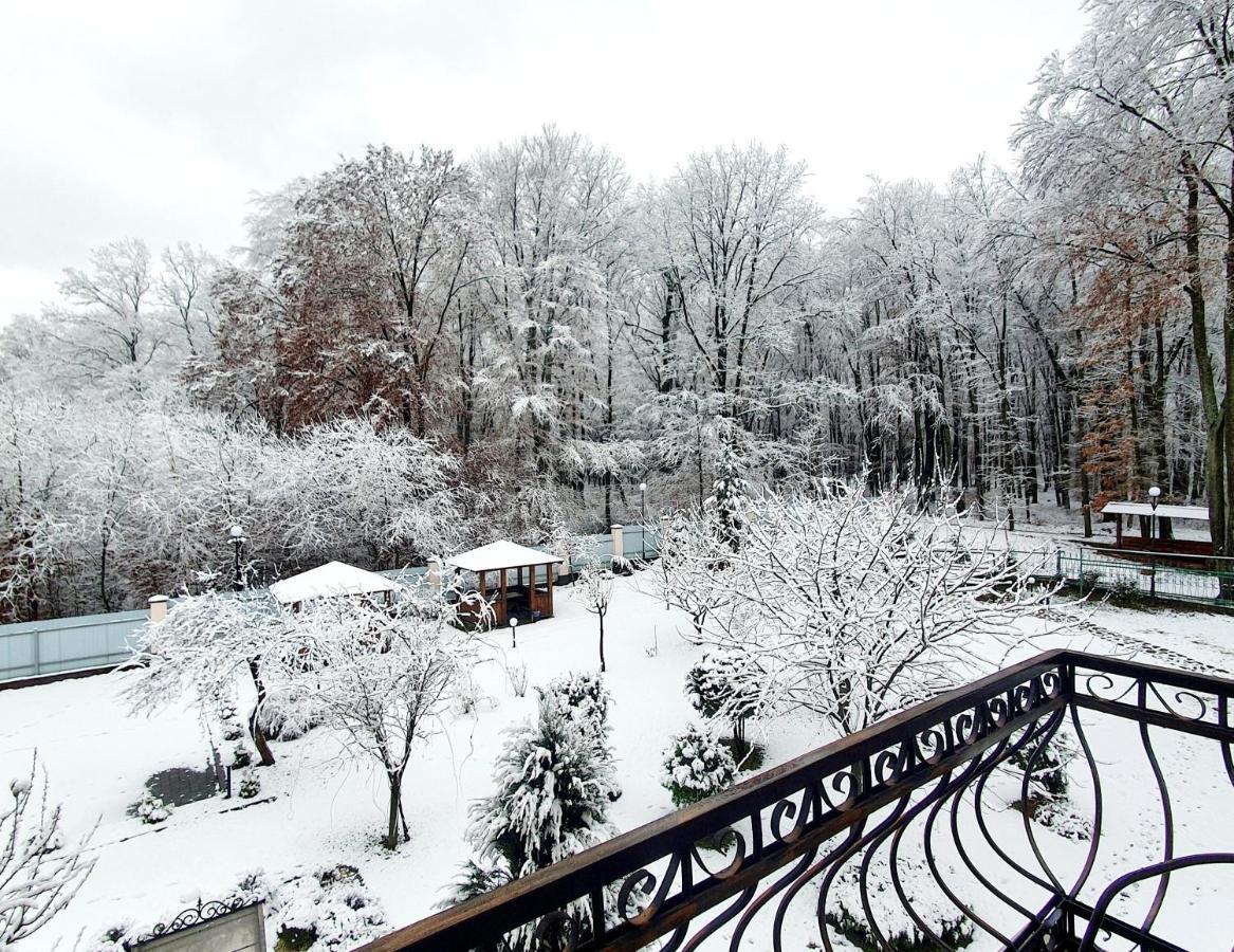 Villa Zenko Lviv Dış mekan fotoğraf