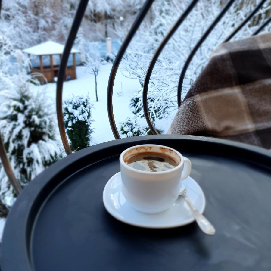 Villa Zenko Briukhovychi Dış mekan fotoğraf