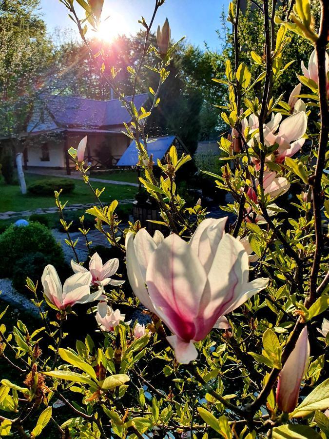 Villa Zenko Briukhovychi Dış mekan fotoğraf
