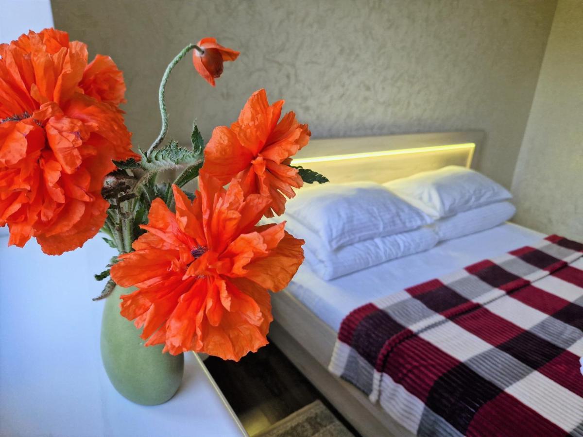 Villa Zenko Briukhovychi Dış mekan fotoğraf