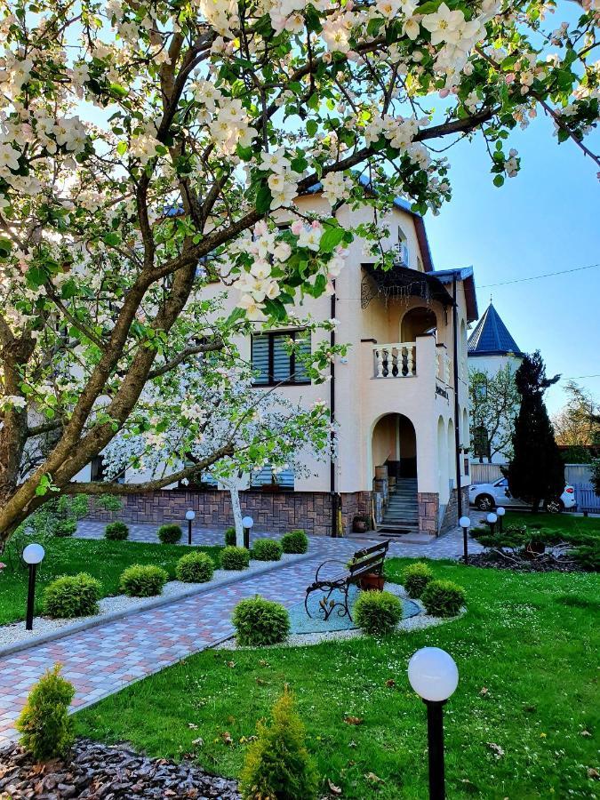 Villa Zenko Briukhovychi Dış mekan fotoğraf