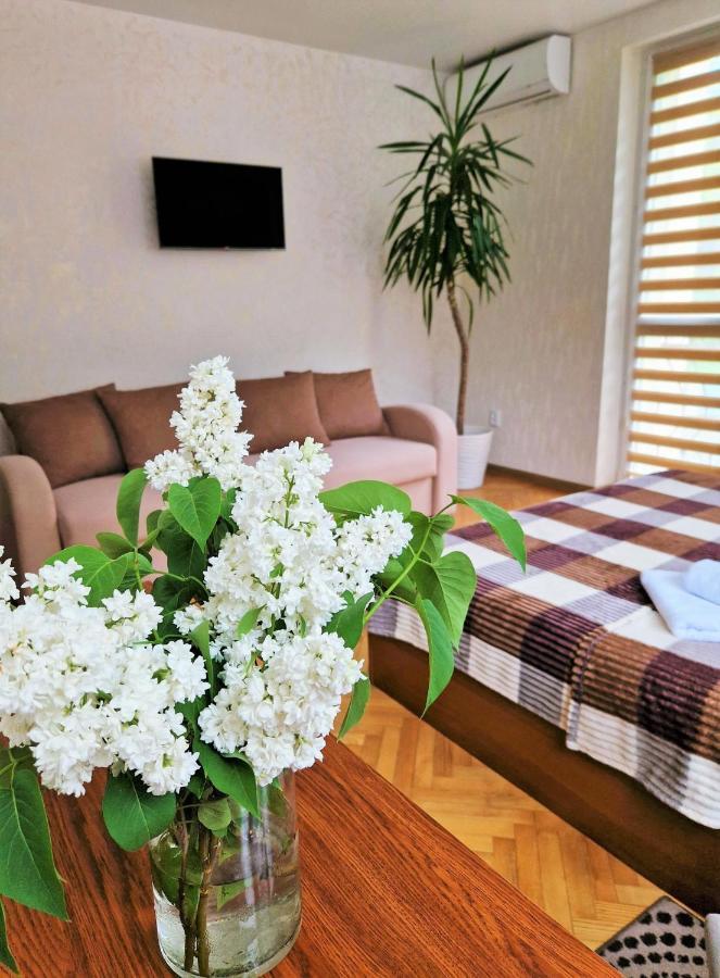 Villa Zenko Briukhovychi Dış mekan fotoğraf