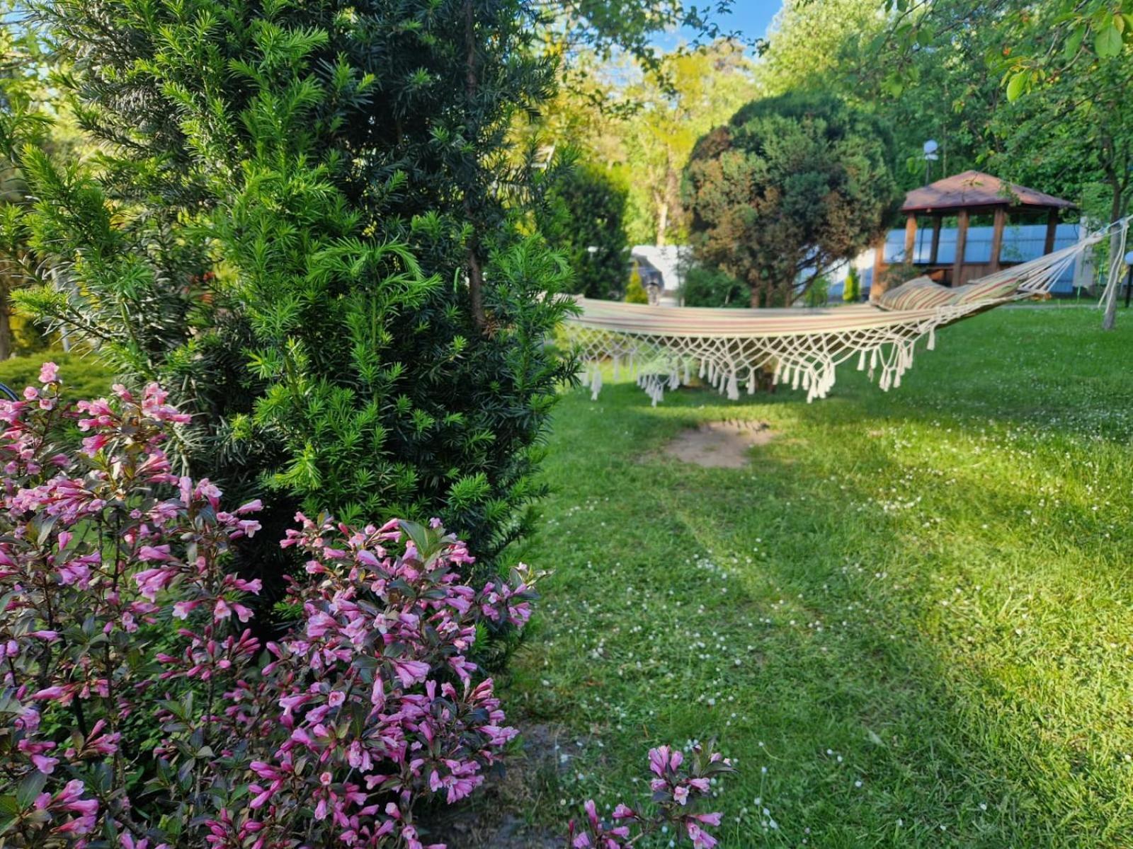 Villa Zenko Briukhovychi Dış mekan fotoğraf